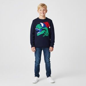 Gymboree Boys Snowboard Dino Sweater size 10-12
